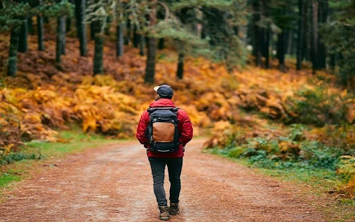 Natural beauty in autumn