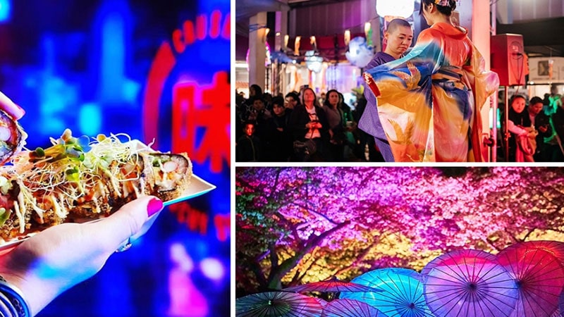Everything about the Japan Light Festival