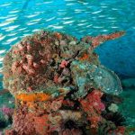 Explore Phang Nga Bay