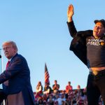 How did Elon Musk become Trump's right hand?