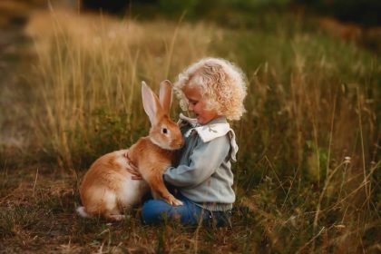 A rabbit in the arms of a child