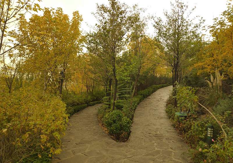 bird garden Photo Source: Google Map, Photographer: Siva Ram
