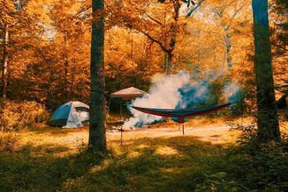 Autumn camping with a tent and Neno; Photo source: wallpapers.com website; Photographer: Unknown