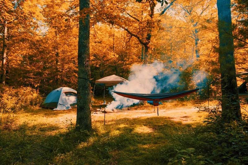 Autumn camping with a tent and Neno; Photo source: wallpapers.com website; Photographer: Unknown