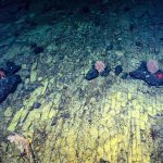 Video/ The first images of the