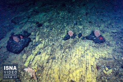 Video/ The first images of the