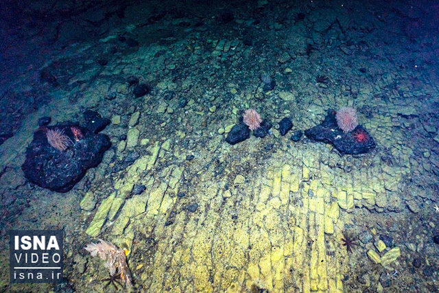 Video/ The first images of the