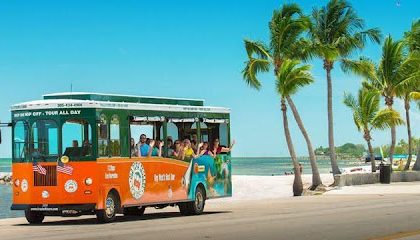 Comprehensive introduction of Jin Tour services