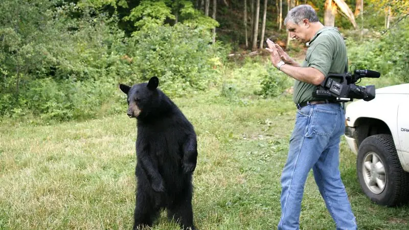 Keeping your cool against a black bear. Source: youtube.com website; Photographer: Uncertain