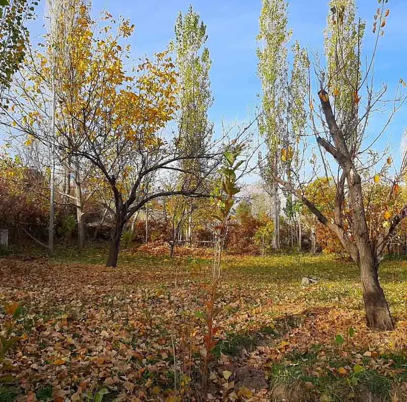 Chalgar Ardabil village garden in autumn; Photo Source: Chalgarud, Photographer: Unknown