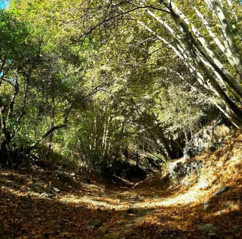 Autumn passage in Ardemeh village of Mashhad; Photo source: Young Journalists Club, photographer: unknown