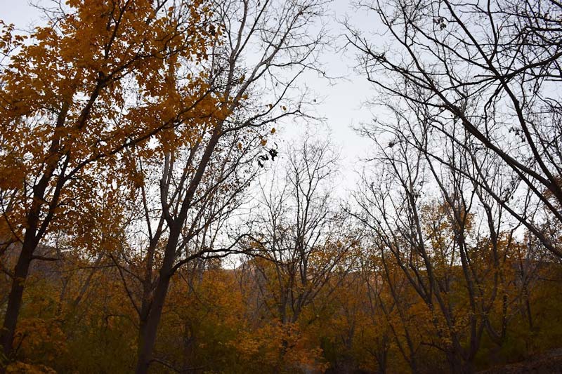 Dashtak village in autumn; Photo source: Google Map; Photographer: Hadi Karimi