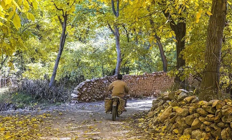 The route to Vafs village in autumn; Photo source: Google Map; Photographer: Morteza Al-Araban