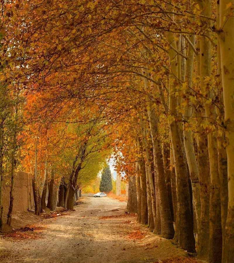 The tree-lined alley of Beke village in autumn; Photo source: tehran_lands, photographer: abvaziri