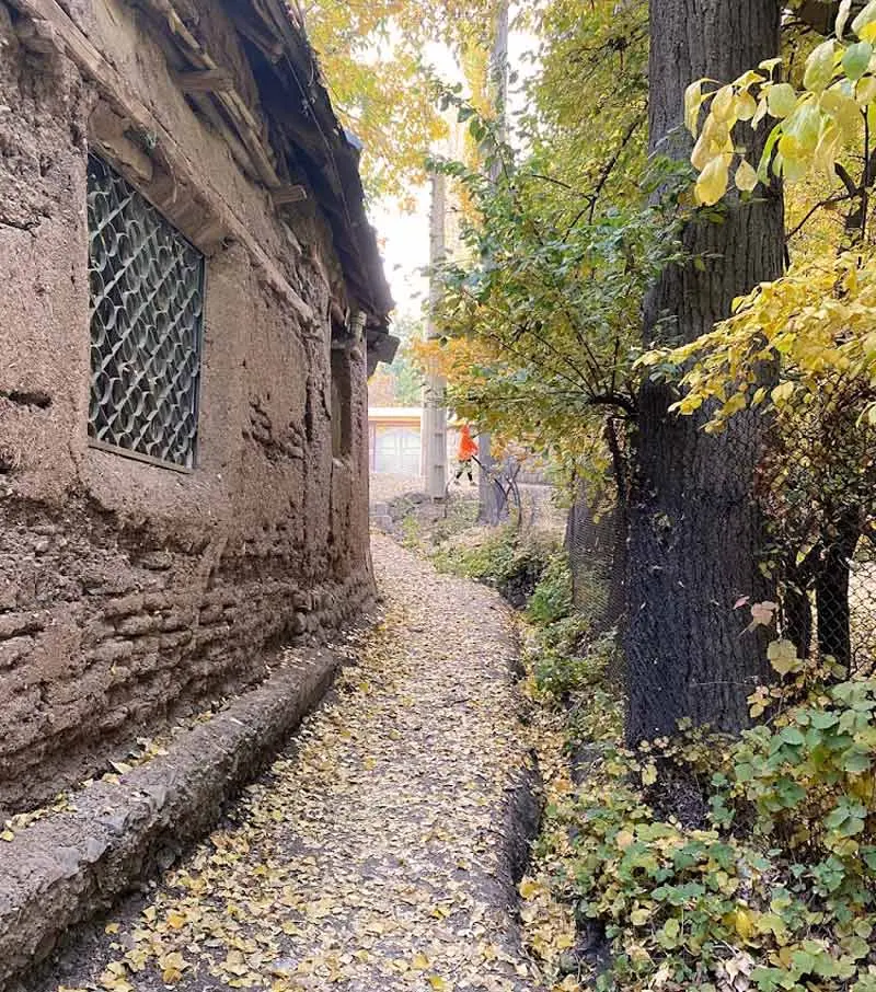 Cheshme Ala village in autumn; Photo source: Google Map; Photographer: Milad Jafari