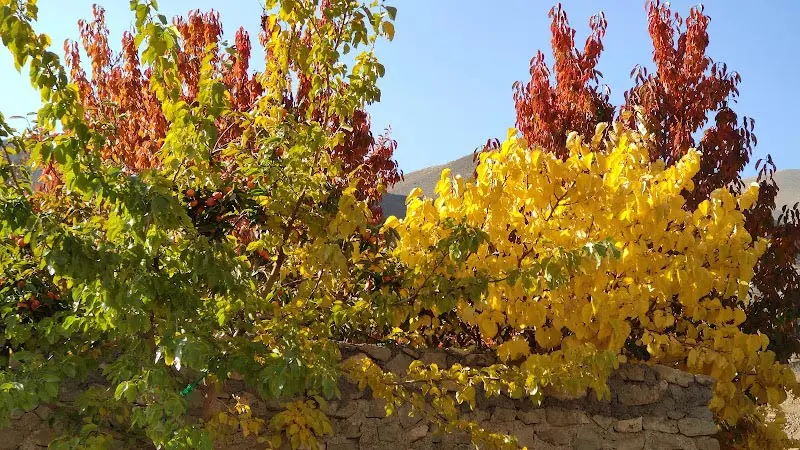 Keshar village in autumn; Photo source: Google Map; Photographer: Rashid Jesour