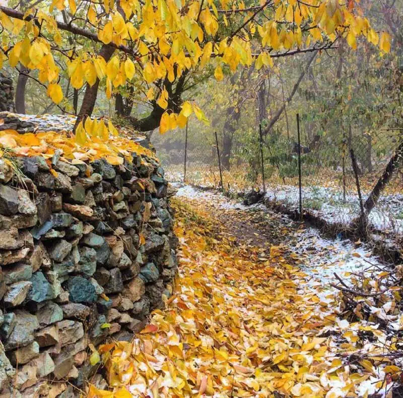 Autumn rain covered passage of Varish village; Photo source: Mizbon, photographer: unknown