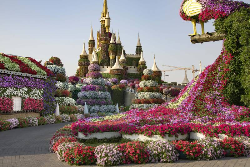 Dubai Flower Garden Source: website winterindubai.com; Photographer: Unknown