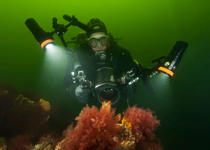 diving flashlight; Photo source: orcatorch.com. Photographer: Unknown