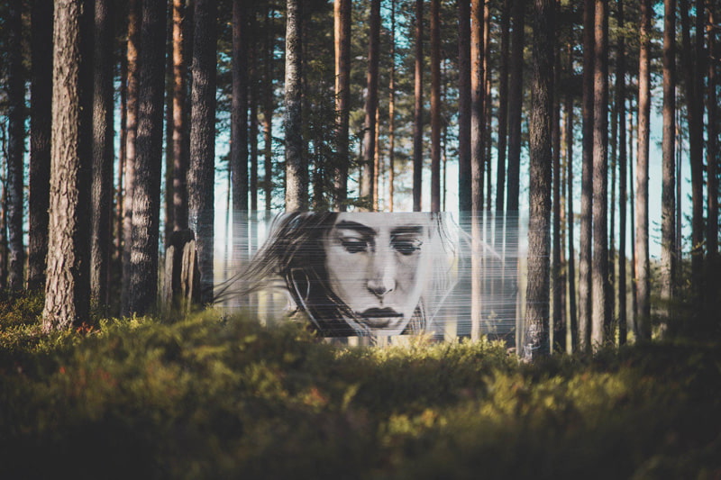 Natural painting by David Popa in the lap of the forest