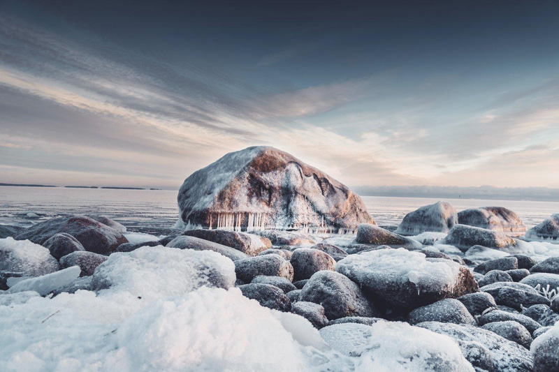 David Poppa's natural painting on coastal rocks