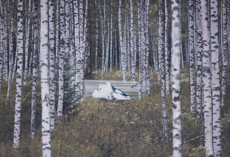 David Poppa's naturalistic painting of a woman in the woods