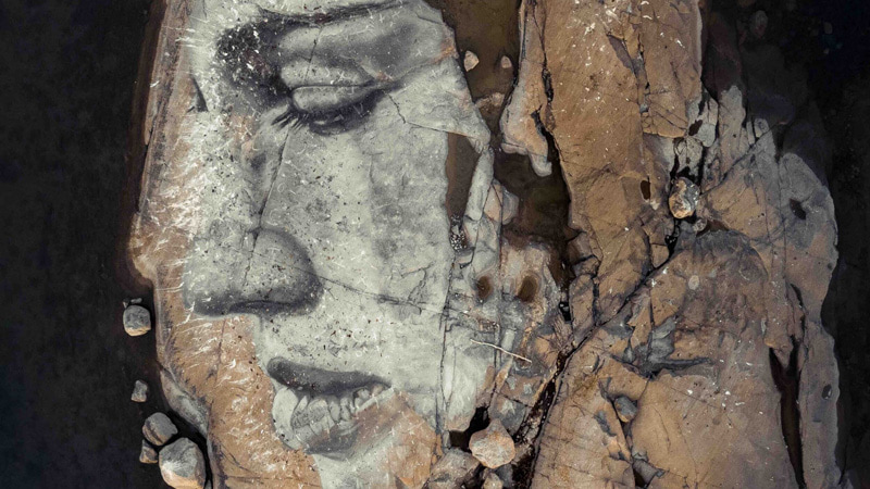 David Popa's natural painting with the theme of fleeting time