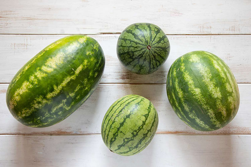 types of watermelon; Photo source: unknown; Photographer: Unknown