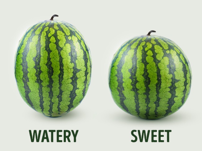 The difference in the appearance of male and female watermelons