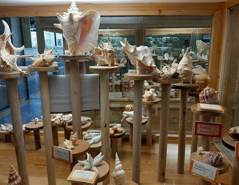 Works of Hamedan Natural History Museum, photo source: Google Map, photographer: Hossein Travels