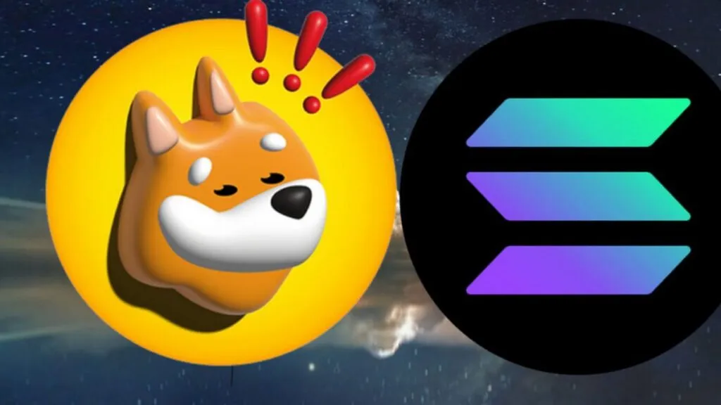 Bonk Mim Coin of Solana network