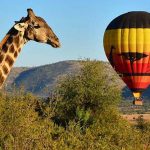 South African attractions, Sun City