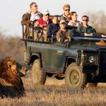 Travel to South Africa