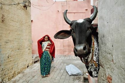 Hindu woman next to a cow