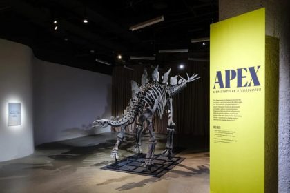 44 million dollar dinosaur skeleton in