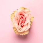 Injection of gel into the vagina