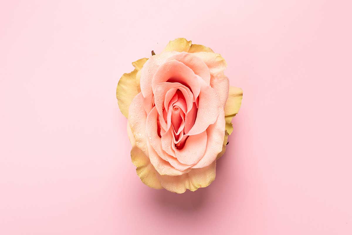 Injection of gel into the vagina