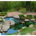 Where is the city of Saveh? | Visiting the sights of Saveh