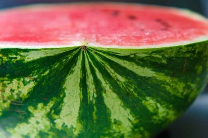a slice of red watermelon; Photo source: shadmag.com; Photographer: Unknown