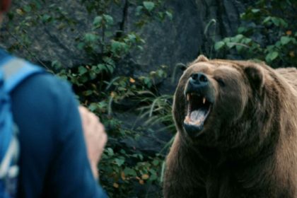 Avoid bear attack. Source: imdb.com website; Photographer: Unknown