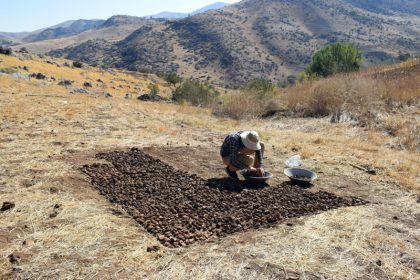 The discovery of an iron workshop in the south of Lake Urmia