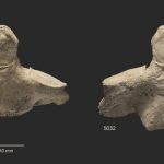 Cannibalism in prehistoric times