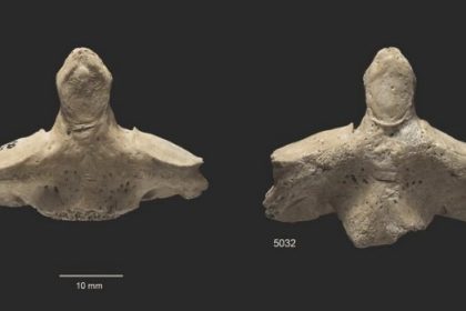 Cannibalism in prehistoric times