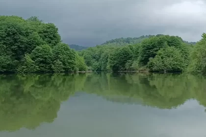 Nature of Brinjstank dam lake, photo source: Google Map, photographer: Alireza Adelzadeh Naini