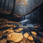 AI-generated image of an autumn forest