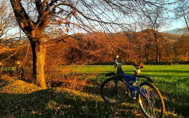 Autumn nature of Garagh Gorgan Forest Park, photo source: Google Map, photographer: Mojtaba Shahkhah