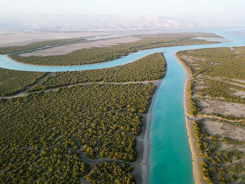 Mangrove forests, photo source: Google Map site, photographer: Azadeh Hashemzadeh