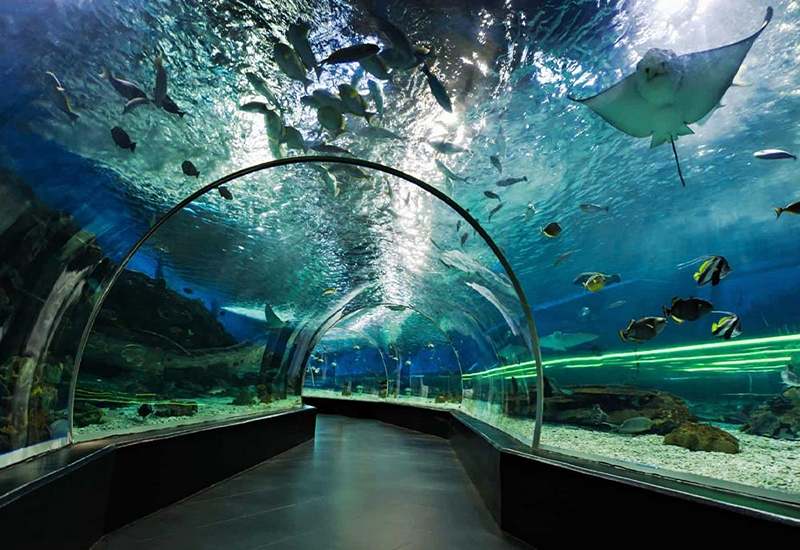 Kish aquarium, photo source: tourmes.com 7 photographer: unknown
