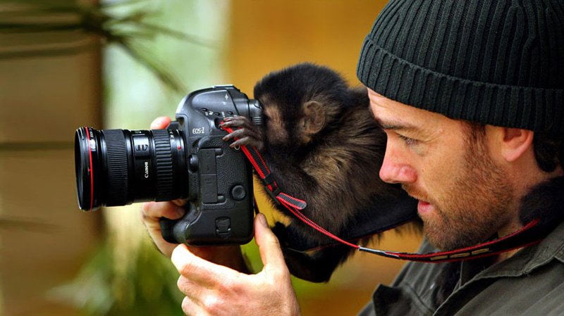 A monkey next to an animal photographer