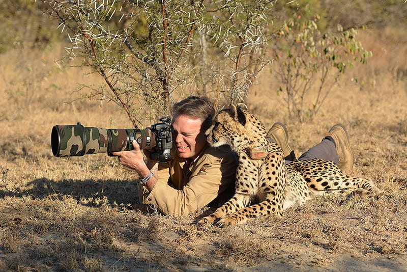 A cheetah next to an animal photographer